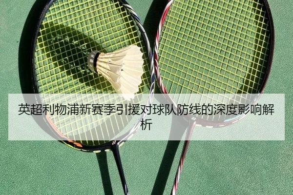 英超利物浦新赛季引援对球队防线的深度影响解析
